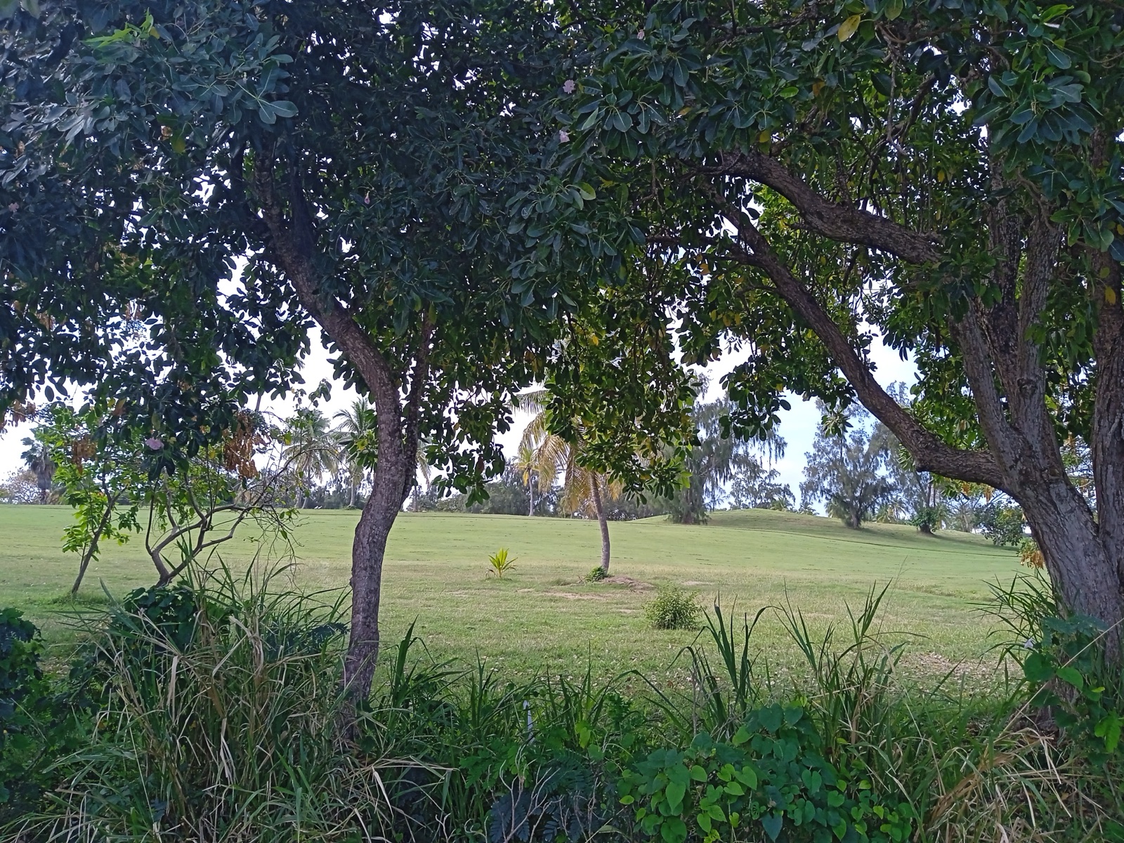 Golf internazionale
